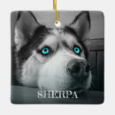 Search for black and white dog ornaments Merry christmas