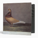 Search for crt office supplies Birds