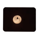 Search for new moon magnets Bosque del apache