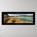 Search for stingray posters Island