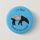 Search for herbivorous buttons Mammal