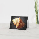 Search for florida shells cards Sea
