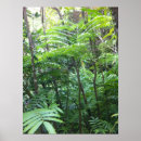 Recherche de forêts tropicales posters Hawaii