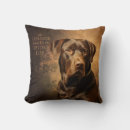 Search for chocolate lab pillows Chocolate labrador retriever
