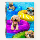 Search for swimming notebooks Funny