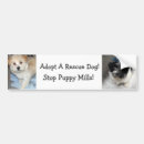 Search for adopt a dog bumper stickers Dogs