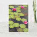 Search for lotus birthday cards Spirituality