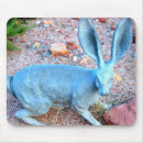 Recherche de cul tapis souris Lapin