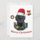 Search for poodle invitations Animals