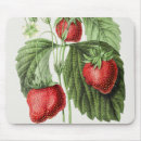 Recherche de nourriture vintage tapis souris Fruit