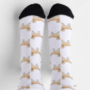Search for golden retriever socks Animal