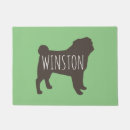Recherche de carlins Race de chien