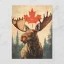 Search for canadian moose postcards Vintage