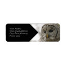 Search for owl in tree return address labels Wildlife