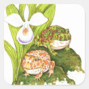 Search for amphibians stickers Rainforest