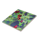 Recherche de fraises rouges carreaux Été