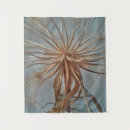 Recherche de arachnide art Macro