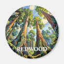 Search for sequoia national park magnets Retro vintage travel
