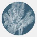 Search for tulips stickers Flower