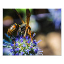 Recherche de regardez posters Fleurs