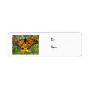 Search for resurrection return address labels Easter