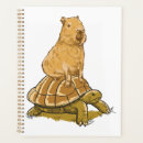 Search for turtle planners Beach