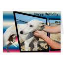 Search for whippet cards Greyhound