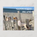 Recherche de nantucket ma cartes postales Océan