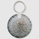 Search for dandelion keychains Weeds