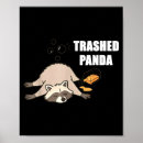 Search for panda lovers posters Raccoon