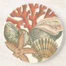 Recherche de récif dessous de verres Coquille