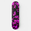 Search for cherry blossom skateboards Aesthetic