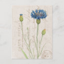 Search for carte postcards Vintage