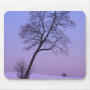 Recherche de arbre isolé Solitaire