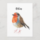 Search for robin painting postcards Watercolor