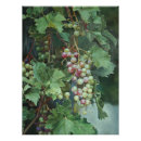Recherche de raisins art Mur de cuisine