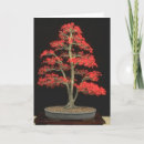 Recherche de bonsaï vœux cartes Nature