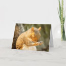 Search for eyes closed cards Cute