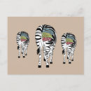 Search for zebra postcards Zoo