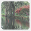 Search for south carolina stickers Tree