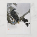 Recherche de les aigles cartes postales Animal