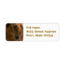 Search for quarter horse return address labels Horseback riding