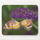 Search for invertebrate mousepads Insect