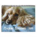 Search for cocker Spaniels