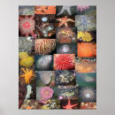 Recherche de sous marine art Poisson