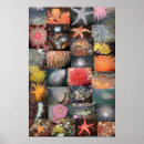 Search for creatures art Underwater