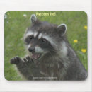 Search for raccoon mousepads Funny