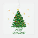 Search for fun ornaments Snowflake