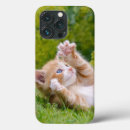 Search for playing cats cases Funny