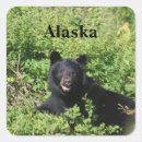Search for alaska bear stickers Nature